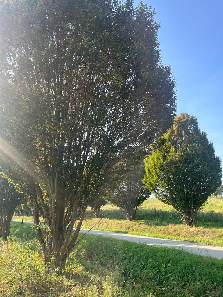 Aura Loving Home Con 4 Posti Letto, Cucina Completa, Terrazzo Ed Un Grande Parco Verde Serravalle d'Asti Exterior foto